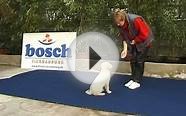 Bosch Tiernarung - Лідер Корми в Німеччині
